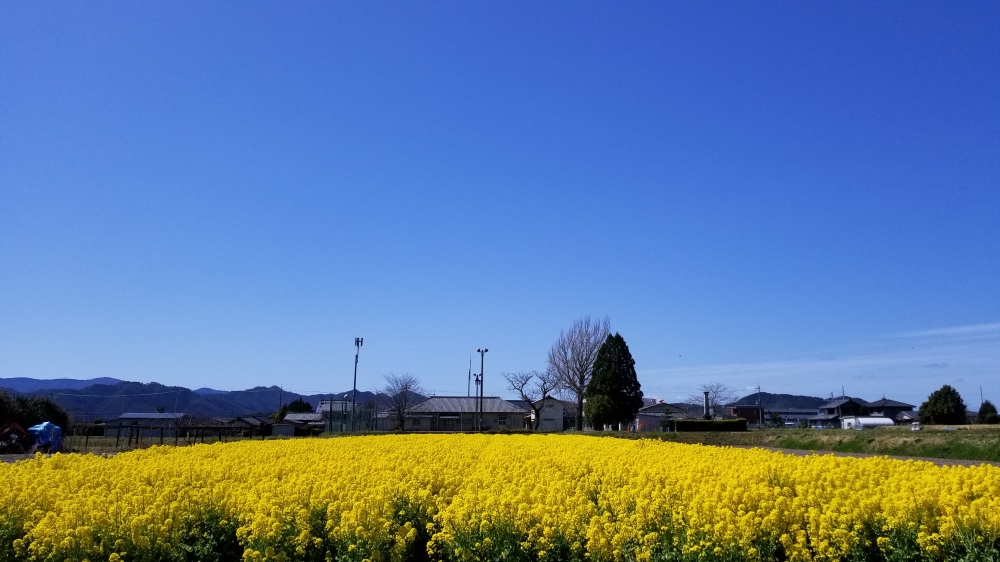 京都亀岡　写真