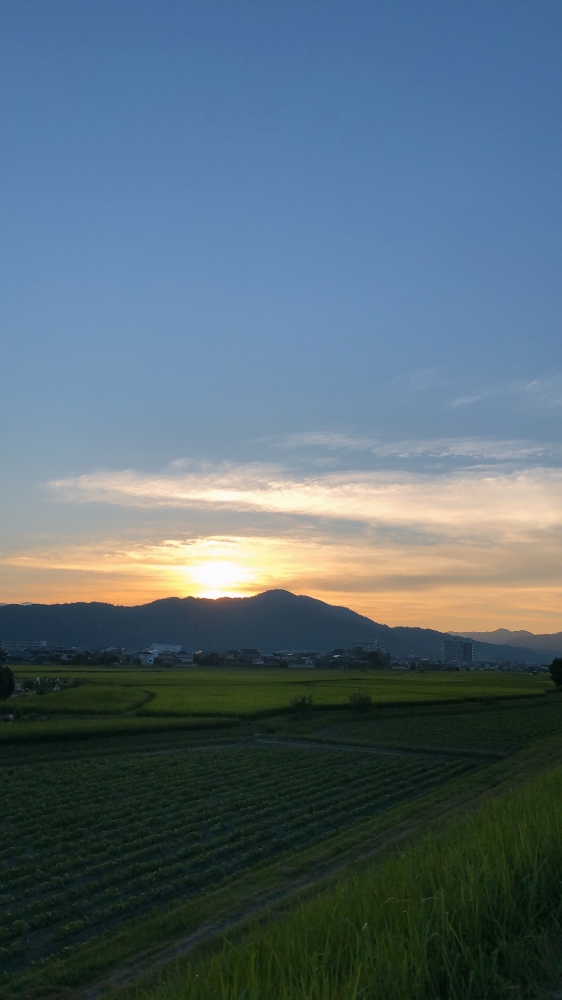 西の空