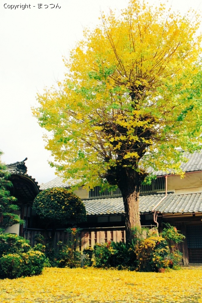 京都亀岡　写真