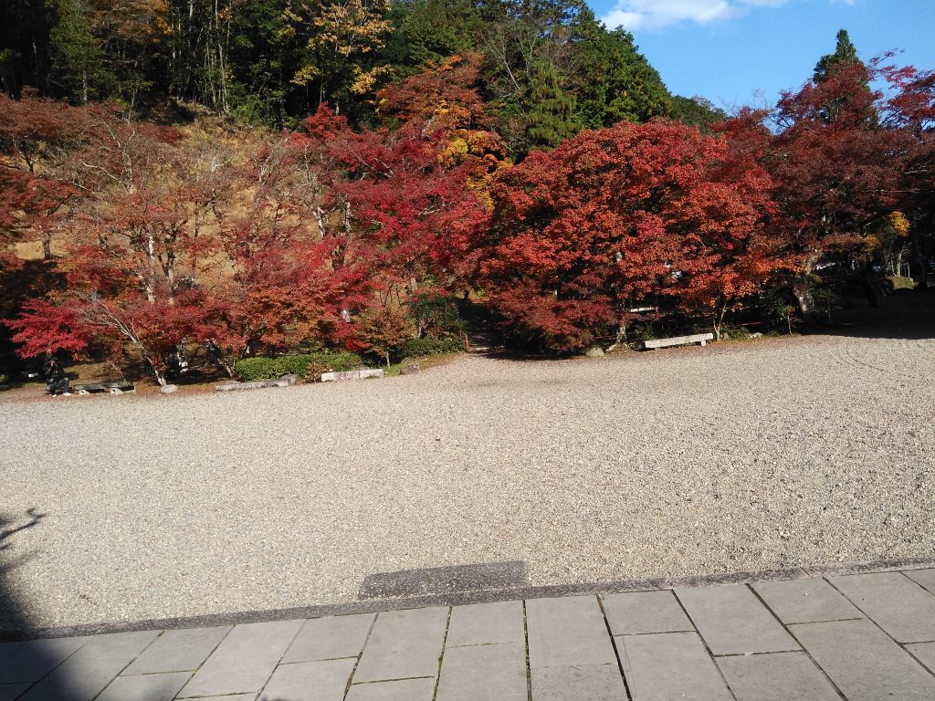 安国寺は秋に紅葉が人気
